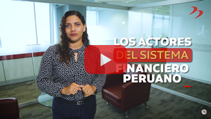 Actores del Sistema